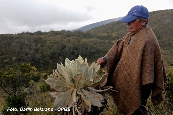 A Boyacá llega el proyecto Guardapáramos Voluntarios.