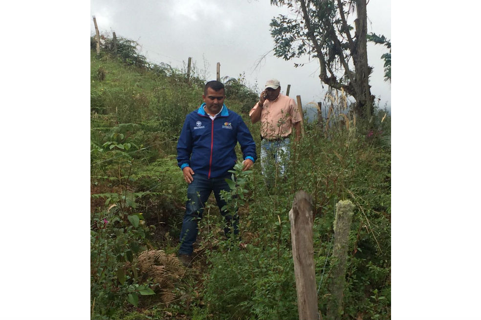 Cundinamarca invirtió $210 millones en reforestación.
