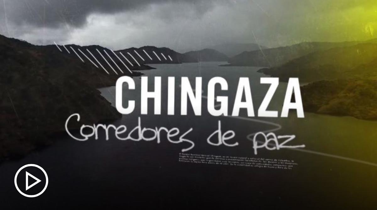 La importancia del páramo de Chingaza: corredor de paz
