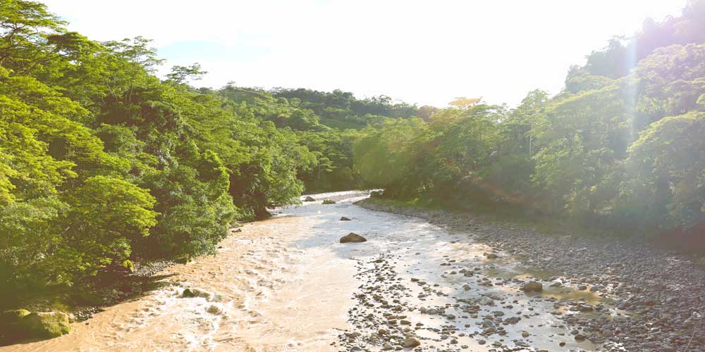 Cerca de $9.500 millones para recuperación y conservación ambiental en Cundinamarca