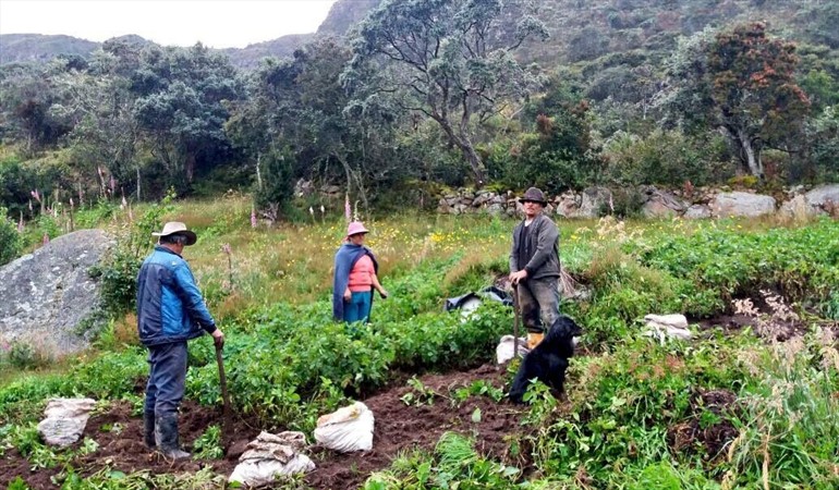 1.300 familias se beneficiarán gracias a programa de cultivos agroecológicos