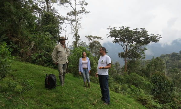 Proyecto para restaurar zonas de páramos en el Tolima