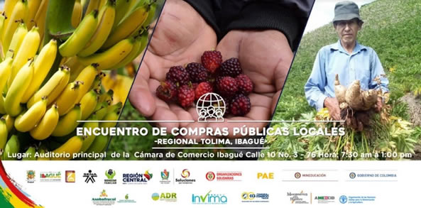 1er Encuentro de Compras Públicas Locales Regional Tolima