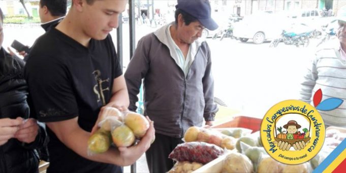 Cuarta jornada de cambio verde en Guachetá