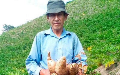 Oportunidades de negocio para pequeños productores del Tolima