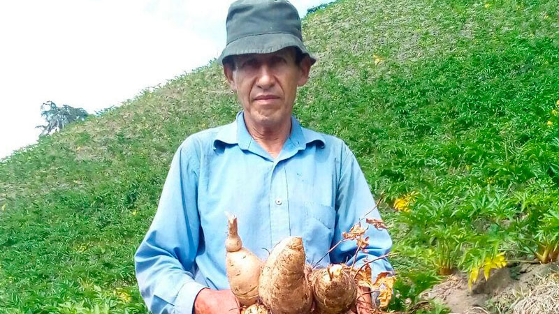 confidencialcolombia.com – Productores rurales necesitan apoyo por parte del Estado en la compra de sus alimentos