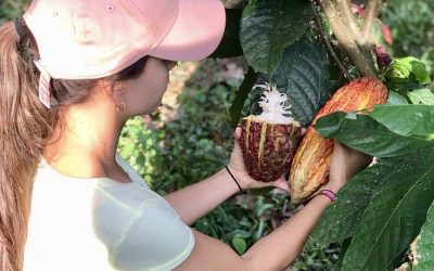 ChocoShow, la nueva plataforma de negocio para los productores de Cacao