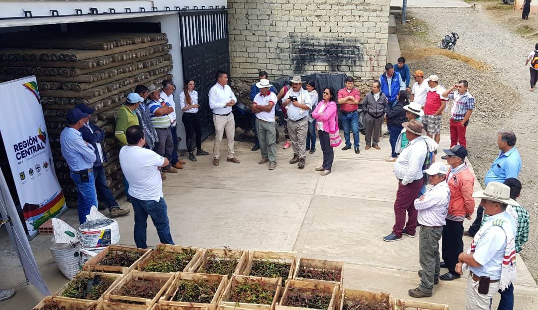 Productores de frijol del Meta reciben incentivos por la protección de bosque