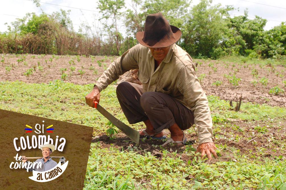 Productores rurales necesitan apoyo por parte del Estado en la compra de sus alimentos