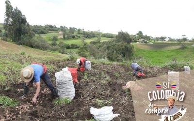 En Boyacá, productores rurales, harán sus aportes al proyecto de Ley de Compras Públicas