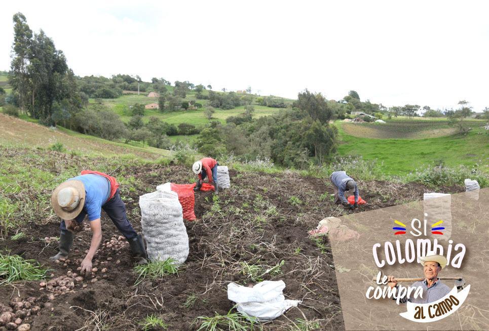 En Boyacá, productores rurales, harán sus aportes al proyecto de Ley de Compras Públicas