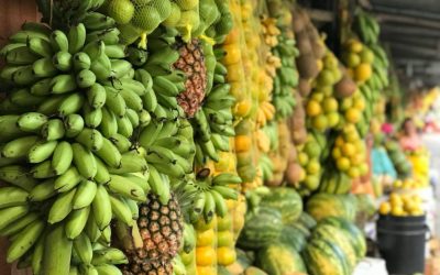 Plan de Abastecimiento Alimentario de la Región Central del país referente en Brasil