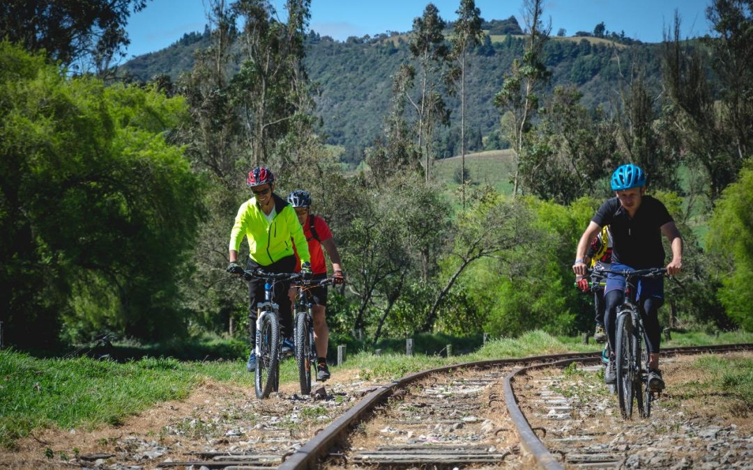 Panel de expertos: Vías verdes para el turismo en bicicleta