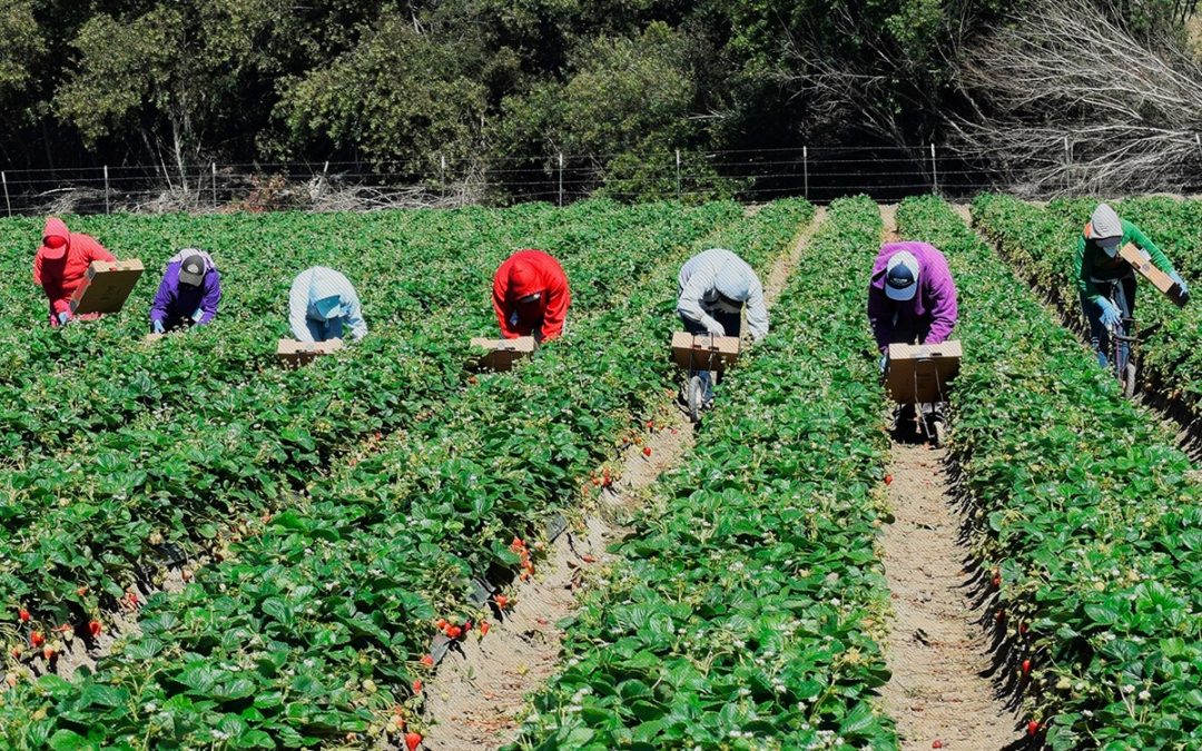 Expertos harán sus aportes al Plan de Abastecimiento Alimentario de la Región Central del país