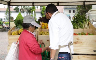 En Boyacá, además de canastos se entregarán alimentos a cambio de material reciclable