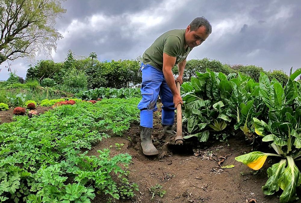 Convocatoria dirigida productores de la Región Central del País