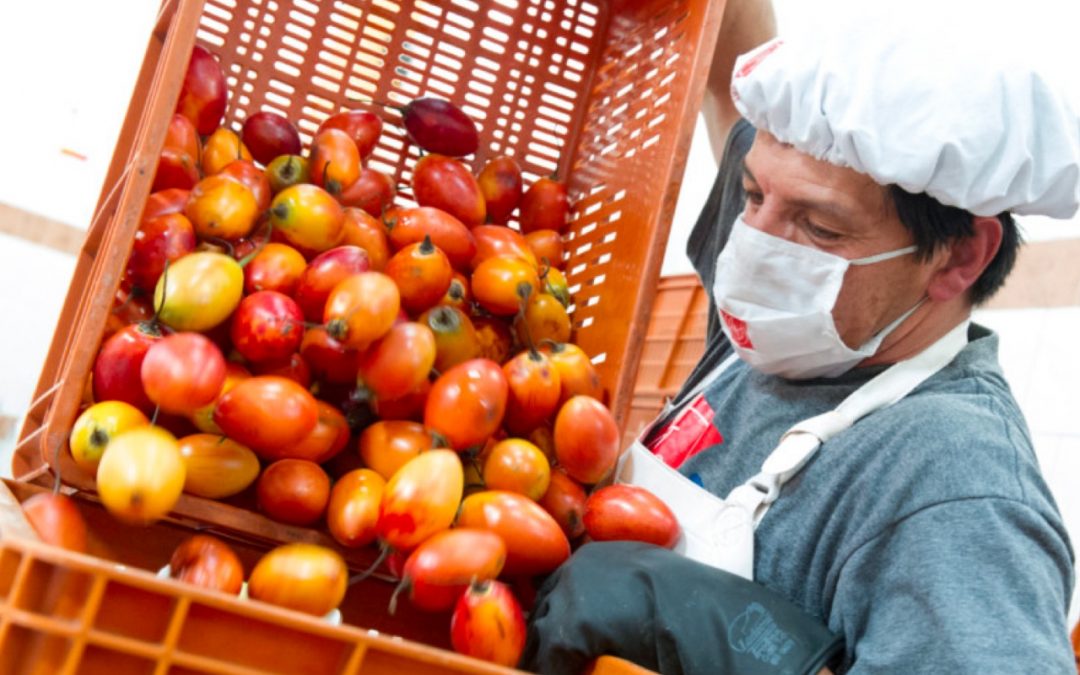 Plan de Abastecimiento Alimentario para la Región central se presentará en Congreso Internacional de Mercadeo & Logística