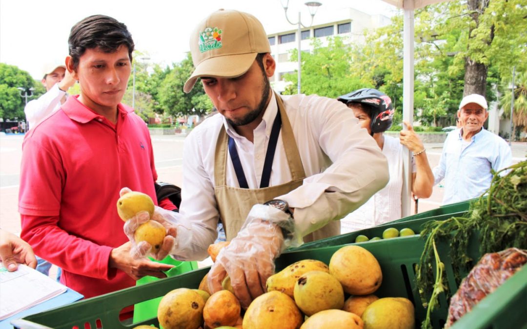 En Boyacá se entregarán alimentos saludables a cambio de material reciclable