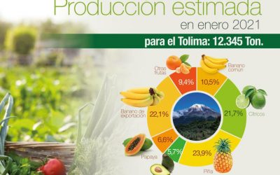“El problema permanente en el abastecimiento del Tolima es la intermediación”: gobernador Orozco