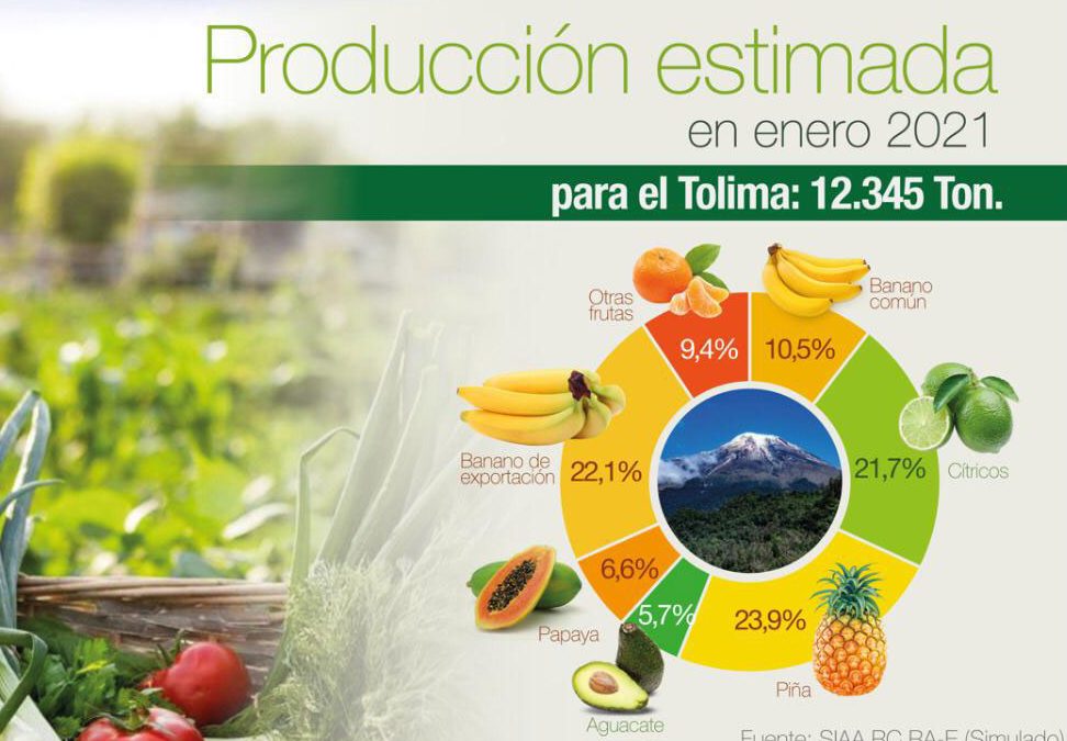 “El problema permanente en el abastecimiento del Tolima es la intermediación”: gobernador Orozco
