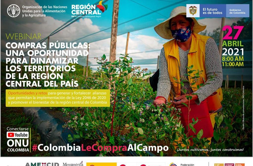 RAP-E Y FAO CONTINÚAN CICLO DE TALLERES PARA APROPIAR LEY DE COMPRAS PÚBLICAS EN COLOMBIA