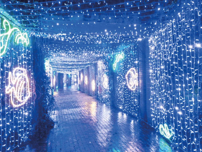 El Botánico saca a la luz nuevas láminas de Mutis, que unen el