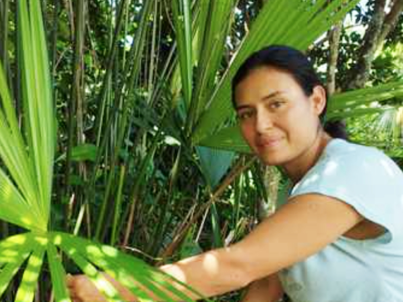 mujer cultivando palma