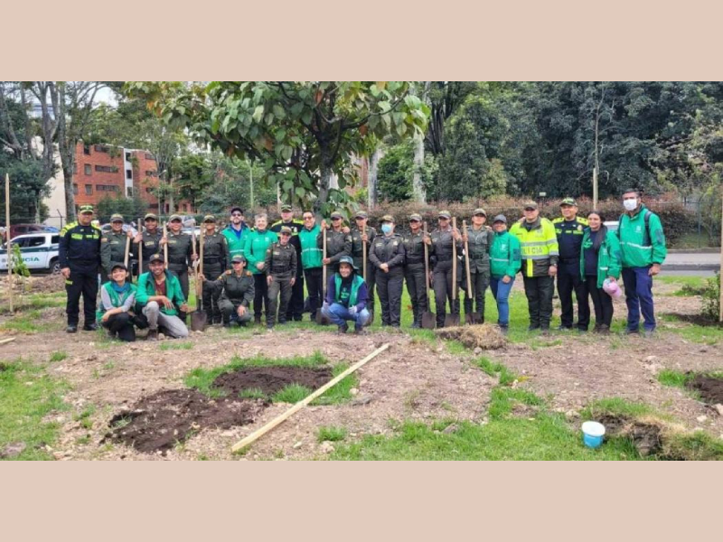 DISTRITO PLANTÓ MÁS DE 1.100 ÁRBOLES EN VARIOS PUNTOS DE BOGOTÁ