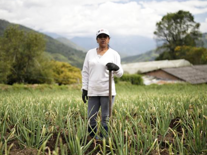 Campesinos en Cundinamarca podrán vender sus productos directamente a la gobernación