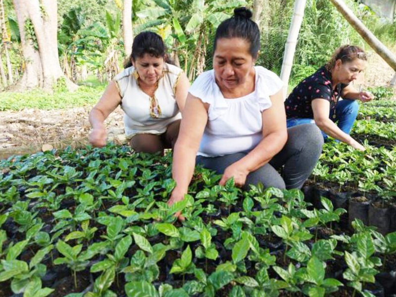 EL DEPARTAMENTO DEL HUILA COMPROMETIDO CON LA FESTIVAL DEL CAFÉ, CACAO Y AGROTURISMO