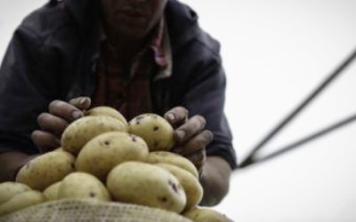 CUNDINAMARCA ABRE CONVOCATORIAS PARA EMPRENDEDORES DEL AGRO