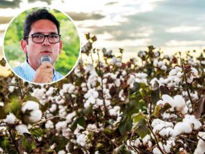 El Meta tendrá la planta productora de algodón más grande del país