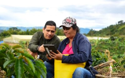 ¡CON OLOR A CAFÉ! PROYECTO ESCOLAR DE HUILA, FINALISTA EN PREMIO INTERNACIONAL DE MEDIO AMBIENTE