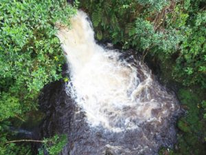 37 municipios del Huila trabajan para cuidar sus “fábricas de agua”