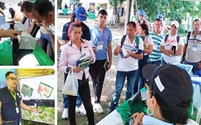 EL ICA TRABAJA EN EQUIPO PARA CONTROLAR EL ACHAPARRAMIENTO DEL MAÍZ EN EL HUILA