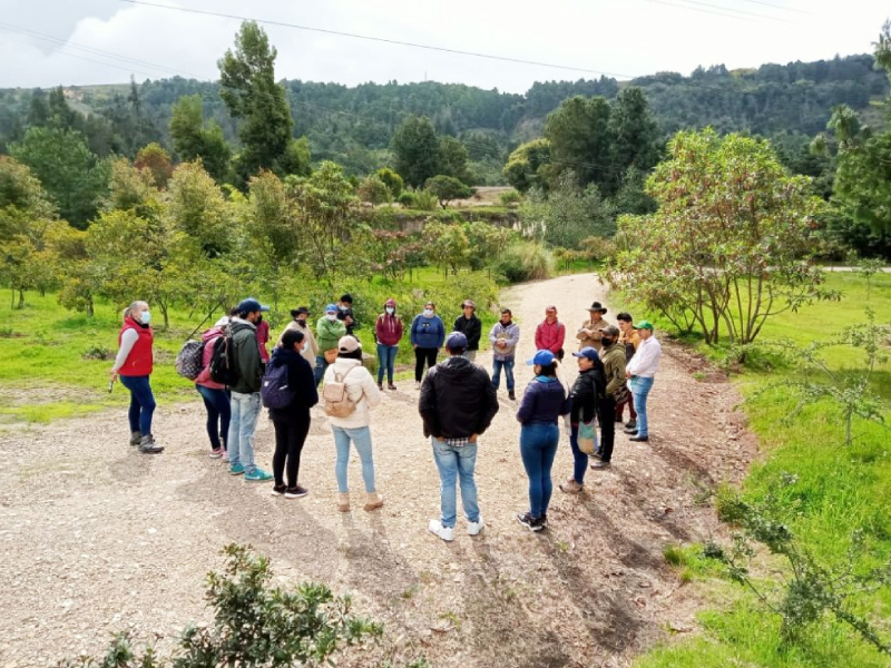 REABRE SUS PUERTAS EL JARDÍN BOTÁNICO DE BOYACÁ