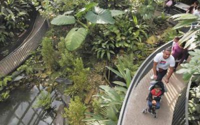 TROPICARIO DEL JARDÍN BOTÁNICO, LA JOYA ESCONDIDA DE BOGOTÁ