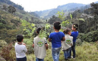 CON HUERTOS ESCOLARES, ESTUDIANTES RECUPERAN ESPECIES FORESTALES