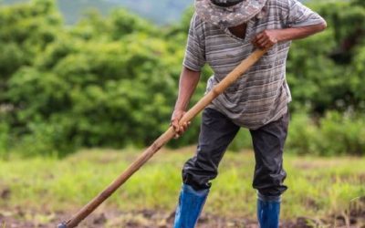 HUILA LANZA PRIMER ÍNDICE DE COMPETITIVIDAD REGIONAL PARA MUNICIPIOS