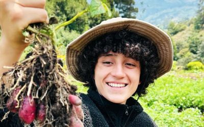 ‘LA GRANJA DEL BORREGO’, EL ‘TIKTOKER’ COLOMBIANO QUE DIFUNDE LAS ENSEÑANZAS DEL MUNDO RURAL