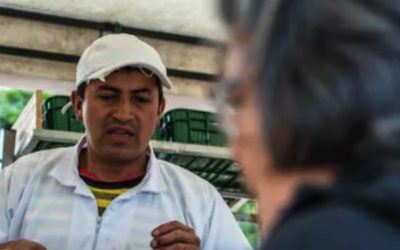 CAMPESINOS BUSCAN TERMINAR CON LA INTERMEDIACIÓN