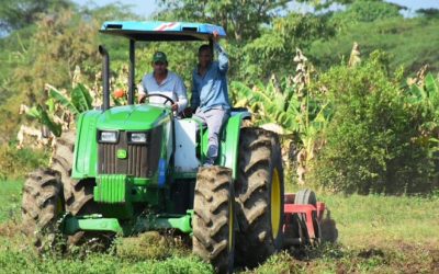 CINCO IDEAS LOCALES QUE LLEGARÁN AL SECTOR DEL AGRO EN CUNDINAMARCA