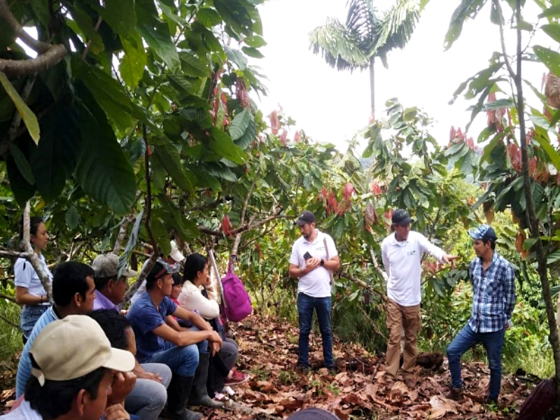 EL ICA SE ARTICULA CON LA DEFENSORÍA DEL PUEBLO PARA FORTALECER LA ECONOMÍA CAMPESINA DE LAS COMUNIDADES RURALES DE BOYACÁ