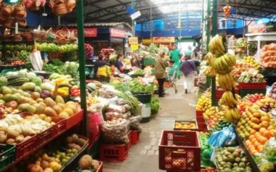 50 MILLONES DE TONELADAS DE ALIMENTOS AL AÑO PRODUCEN LOS CAMPESINOS EN LA REGION CENTRAL.