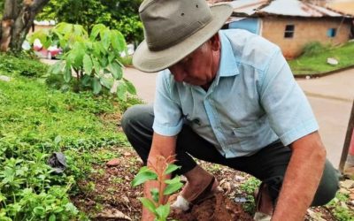 INICIÓ LA SEMBRATÓN DE ÁRBOLES EN EL HUILA