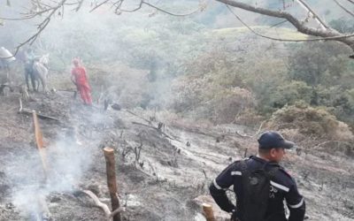 PROHÍBEN QUEMAS ABIERTAS EN EL HUILA POR TEMPORADA SECA SE MANTIENE LA IMAGEN