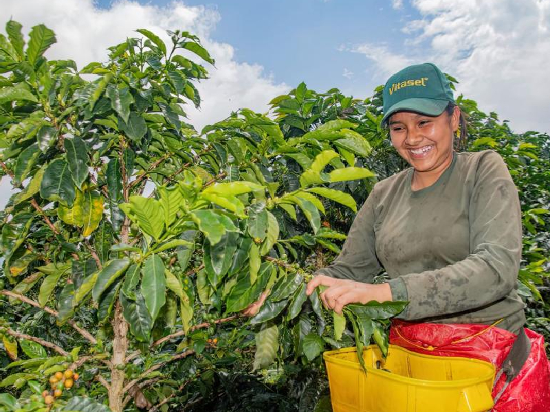 Asociaciones agrícolas de Huila recibirán $1.774 millones en activos productivos