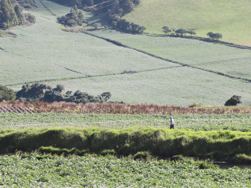 Boyacá debe prepararse para enfrentar el Fenómeno de El Niño