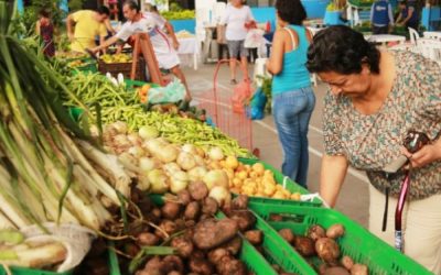 Llanero compra llanero: rueda de negocios para apoyar a los campesinos del Meta