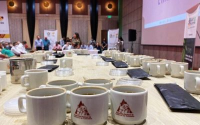 Villavicencio será sede de la exposición de café llanero más importante de 2023